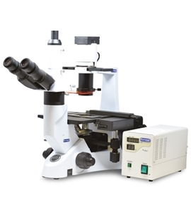 Immagine di MICROSCOPIO BIOLOGICO ROVESCIATO serie INVERTED - INV100TFL